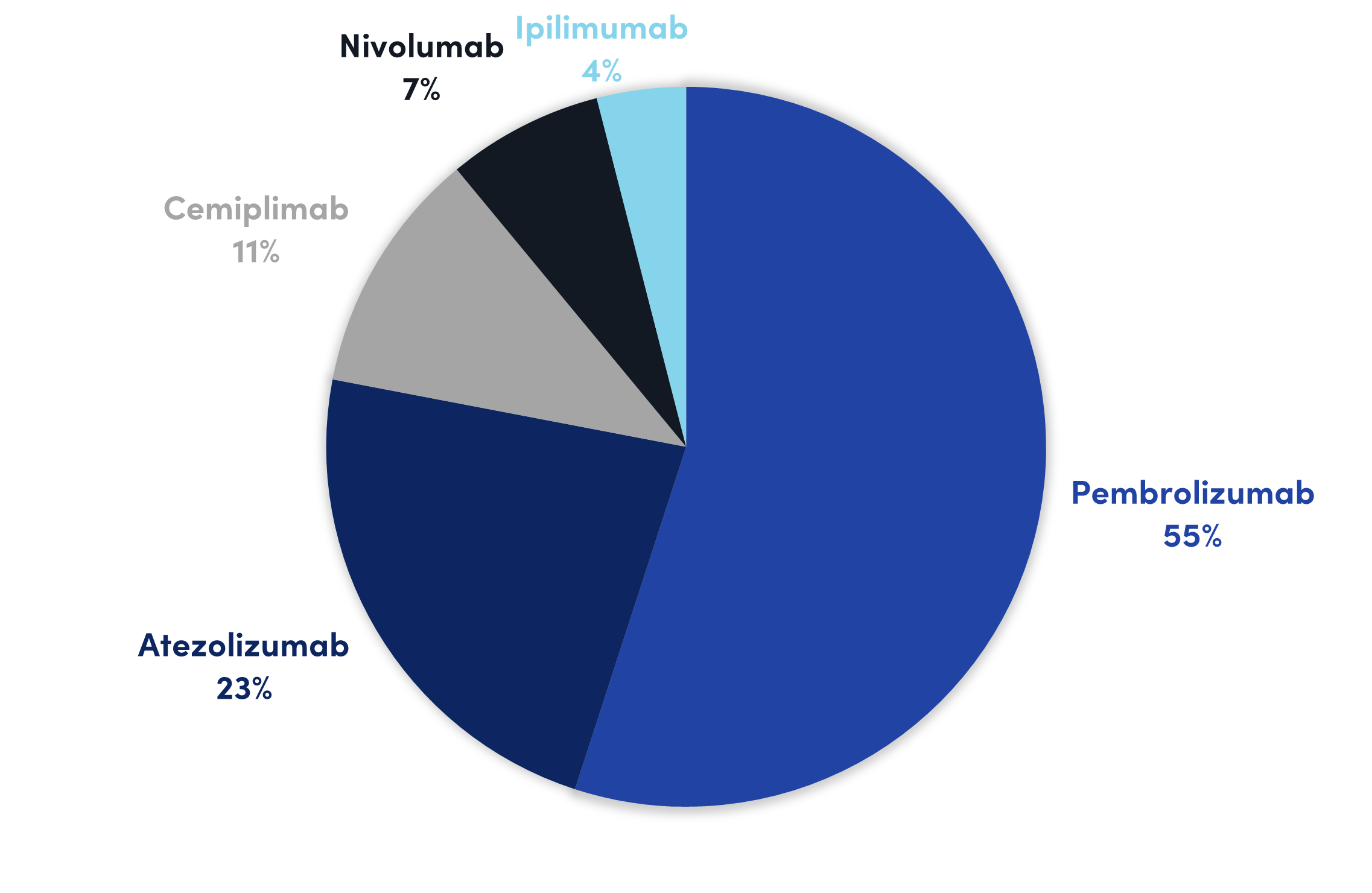 Drug prescription patterns · NSCLC